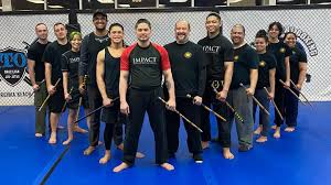 Image result for Impact Martial Arts