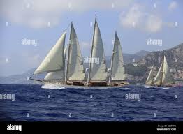 Image result for Xarifa