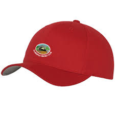 Image result for Glaisdale Cricket Club