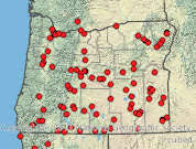 Attēlu rezultāti vaicājumam “Stemonitopsis aequalis (var. aequalis)”