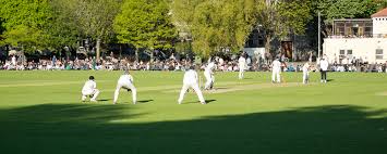 Image result for Trinity Cricket Club