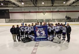 Image result for Brigg Hockey Club