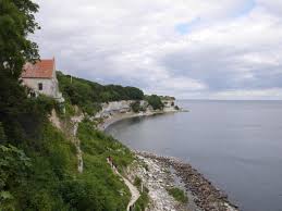 Image result for stevns klint