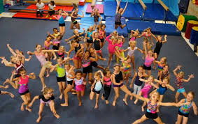 Image result for Tessaro Gymnastics Club