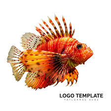 Image result for Pterois volitans