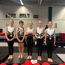 Image result for Harrogate School Of Gymnastics