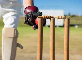 Image result for Antelope & Castle Cricket Club