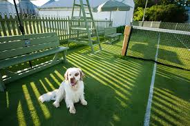 Image result for Campion Lawn Tennis Club