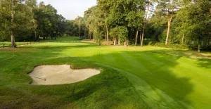 Image result for Chelmsford Gc