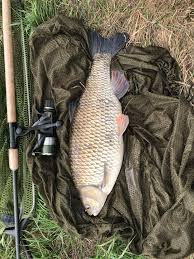Image result for Vauxhall Angling Club