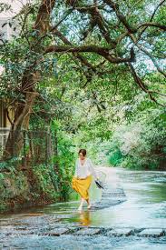 「三島木洋 そふてにっ」の画像検索結果