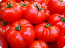 Afbeeldingsresultaat voor millionaire tomato