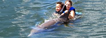 Image result for Dolphins Sheltered & Disabled Swim Club