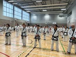 Image result for Alness Tang Soo Do