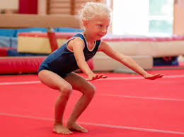 Image result for Forest Of Dean Gymnastics Club