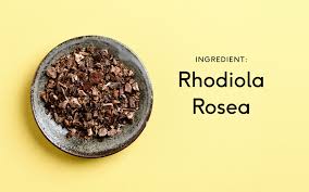 Attēlu rezultāti vaicājumam “Rhodiola rosea”