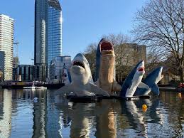 Image result for London Sharks Floorball Club