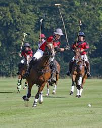 Image result for Woolmers Park Polo Club