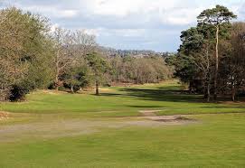 Image result for Reigate Heath Golf Club