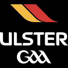 Image result for St Bronagh`s Gaa