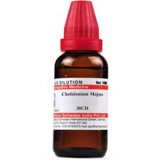 Image result for Chelidonium majus