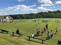 Image result for Silkstone Utd Cc