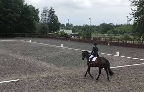 Image result for East Flegg Riding Club