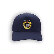 Image result for Brymbo Cricket Club