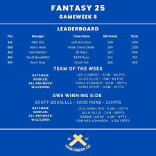 Image result for Churt Cricket Club