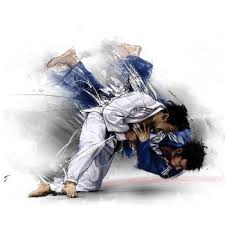 Image result for Ashby Ivanhoe Judo Club