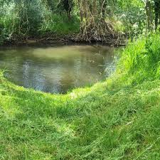 Image result for CALPAC Angling Club