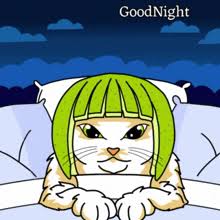 Image result for limecat