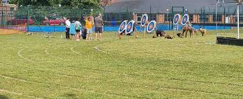 Image result for Stortford Archery Club