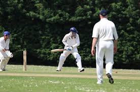 Image result for Chipstead Coulsdon & Walcountians Cc