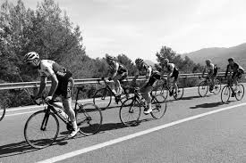 Image result for Team Tor 2000