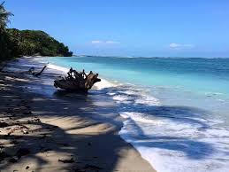 Image result for cahuita costa rica