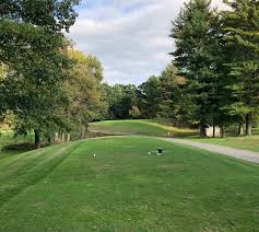 Image result for Chelmsford Gc