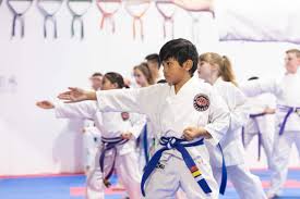 Image result for Ynys Mon Shukokai Karate Club, North Wales