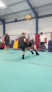 Image result for Harlequins Gymnastics Club