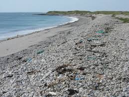 Image result for example