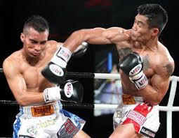 Image result for St Neots Muay Thai