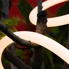 Image result for lysslange