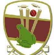 Image result for Bilton Cricket Club