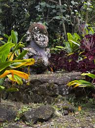 Attēlu rezultāti vaicājumam “Aranei exuvia”