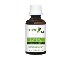 Attēlu rezultāti vaicājumam “Sorbus aucuparia bud”