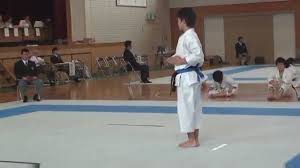 Image result for enpi dojo