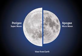 Image result for perigee