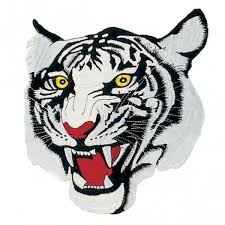 Image result for White Tiger Martial Arts