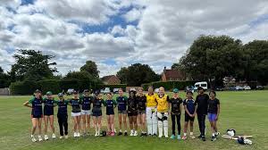 Image result for Henley Cricket Club