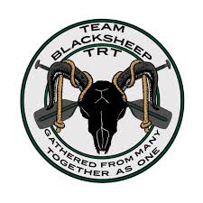 Image result for Teamsheep